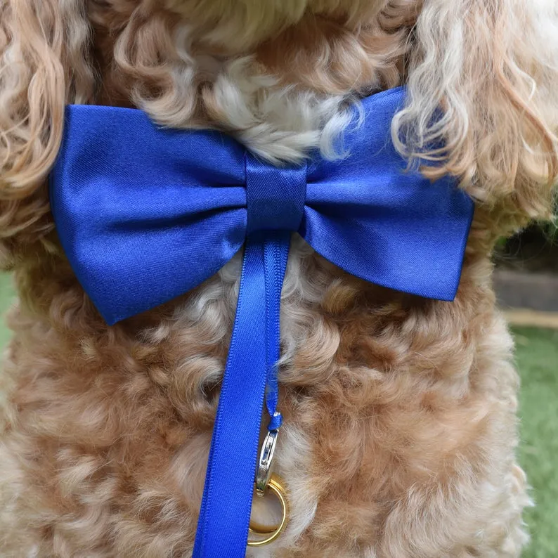 Blue Dog Bow Tie with Optional Ring Carrier