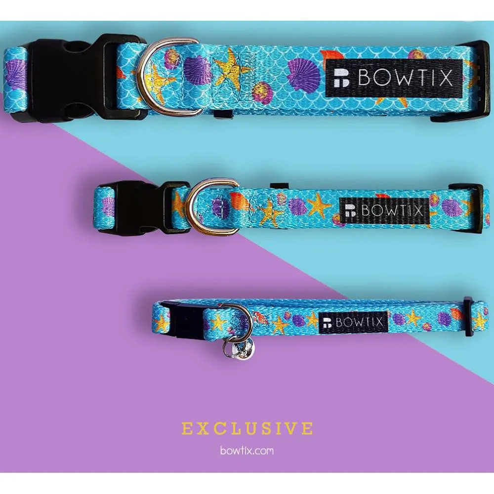 Bowtix Handmade Dog Collar With Removable Bowtie - Zig Zagging