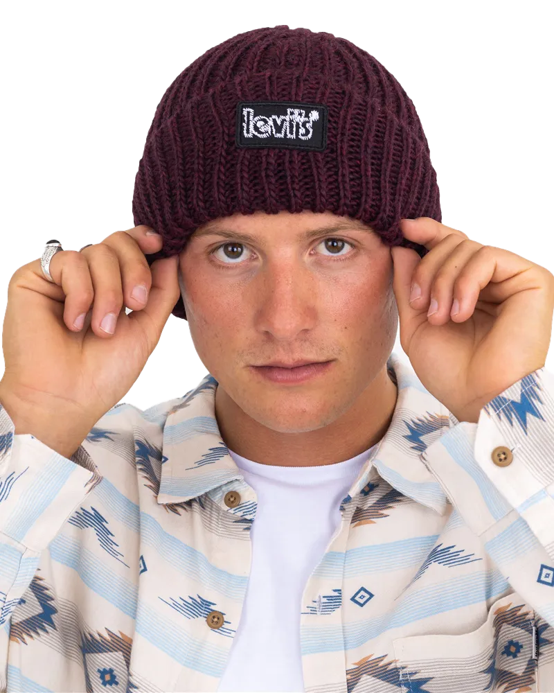 Chunky Beanie in Regular Purple