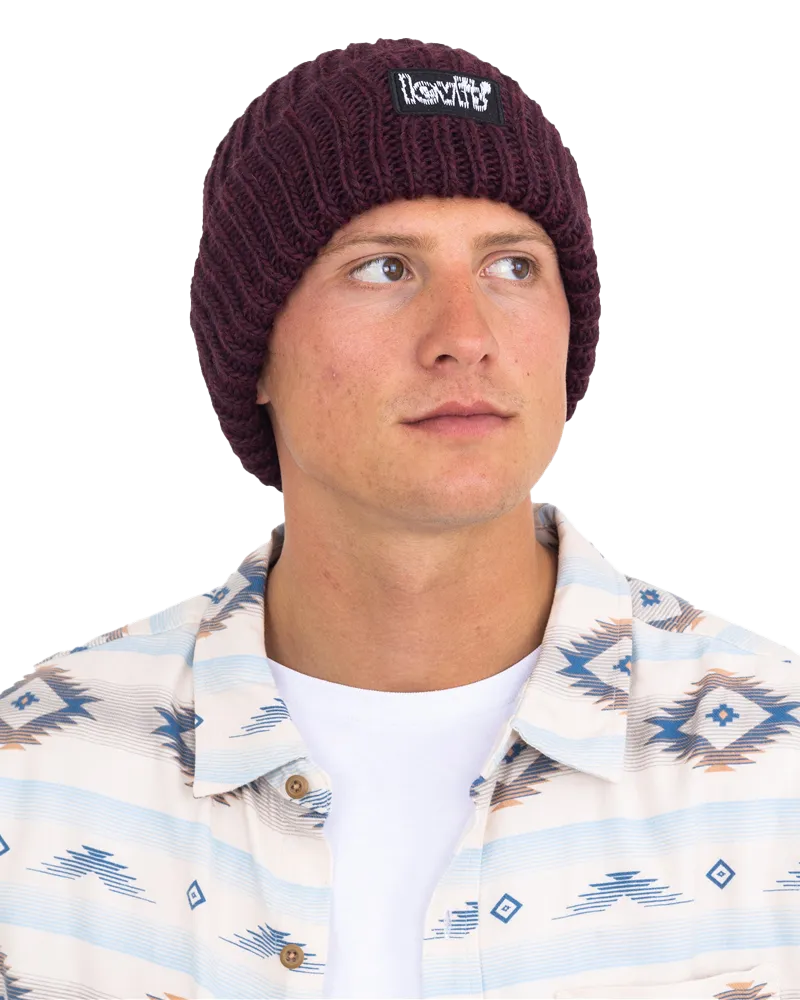 Chunky Beanie in Regular Purple