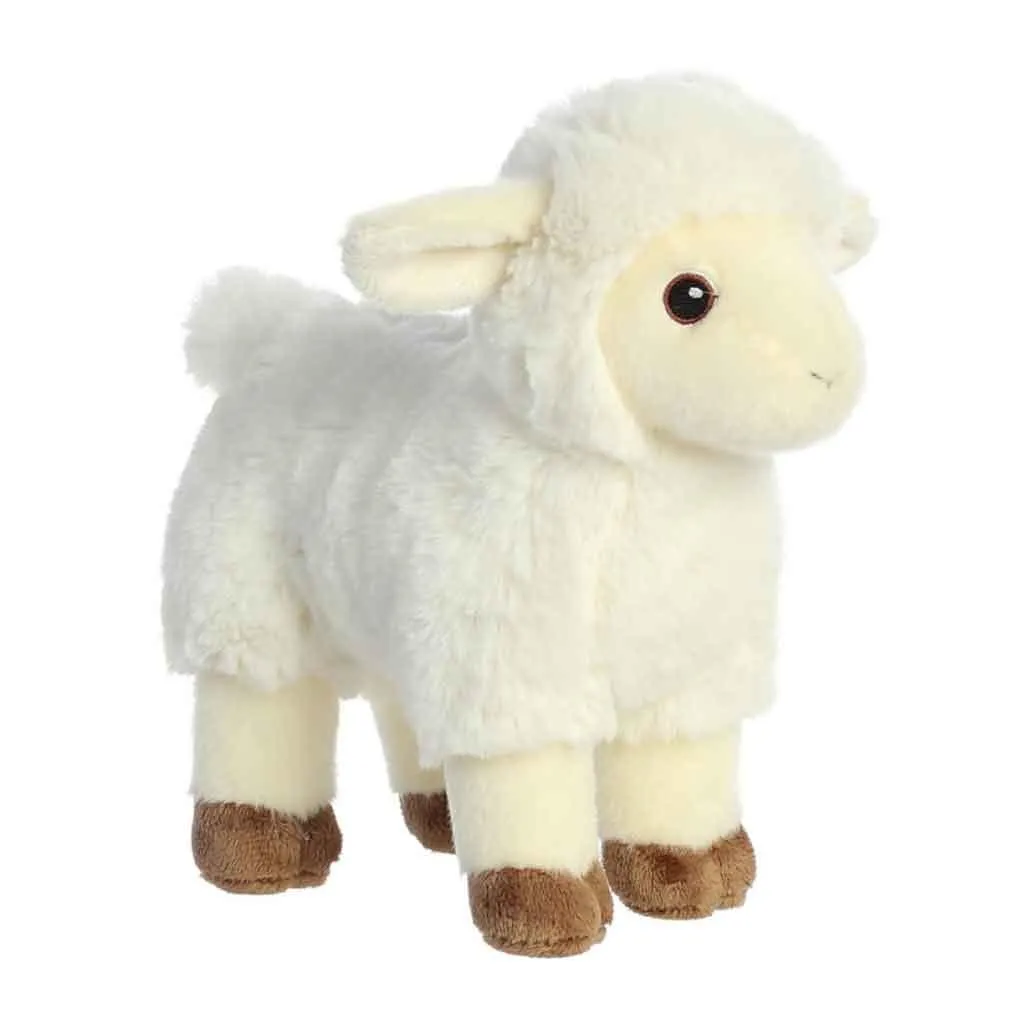 Eco Nation Lamb