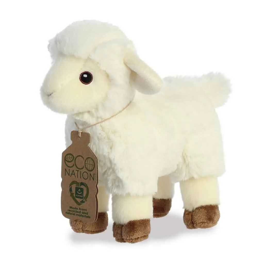 Eco Nation Lamb