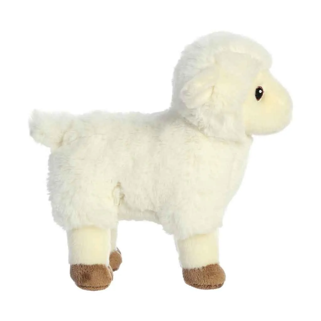 Eco Nation Lamb