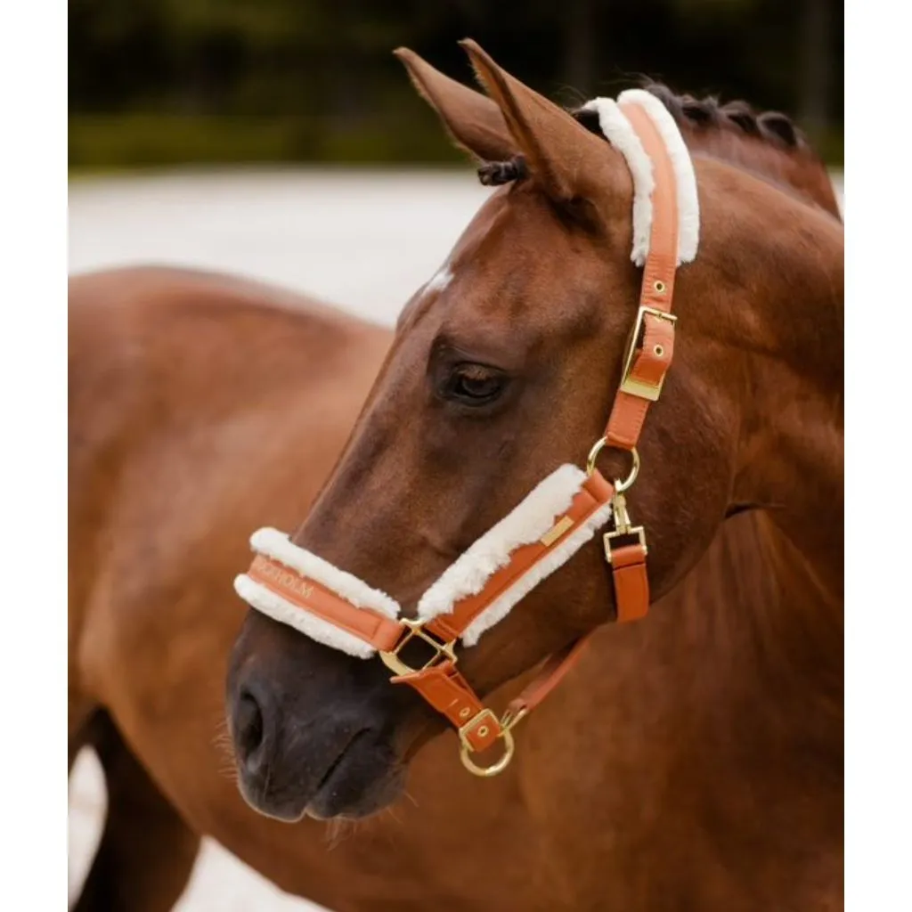 Equestrian Stockholm Fur Lined Halter and Lead Set BRONZE GOLD