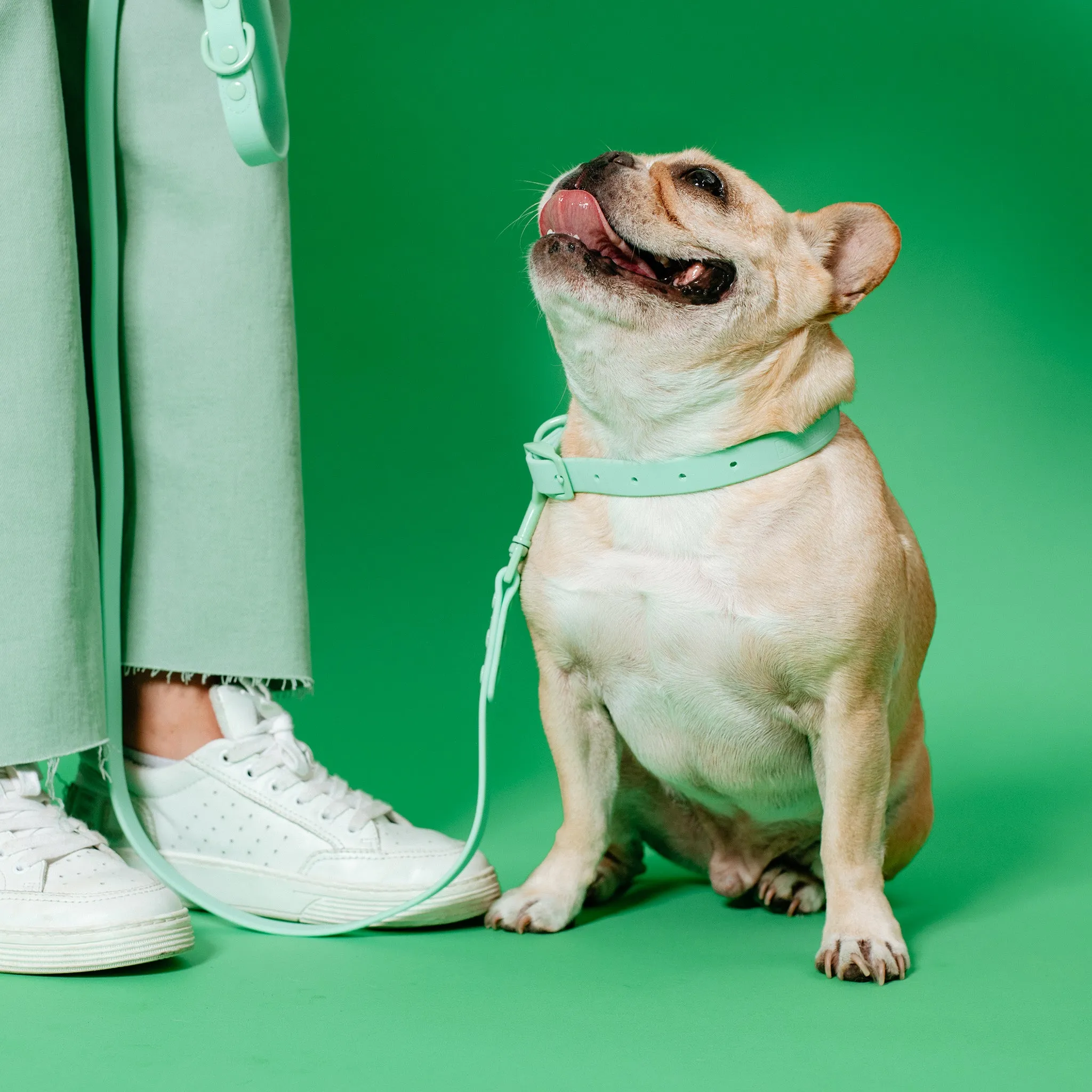 Frenchie Waterproof Collar - Mint Green