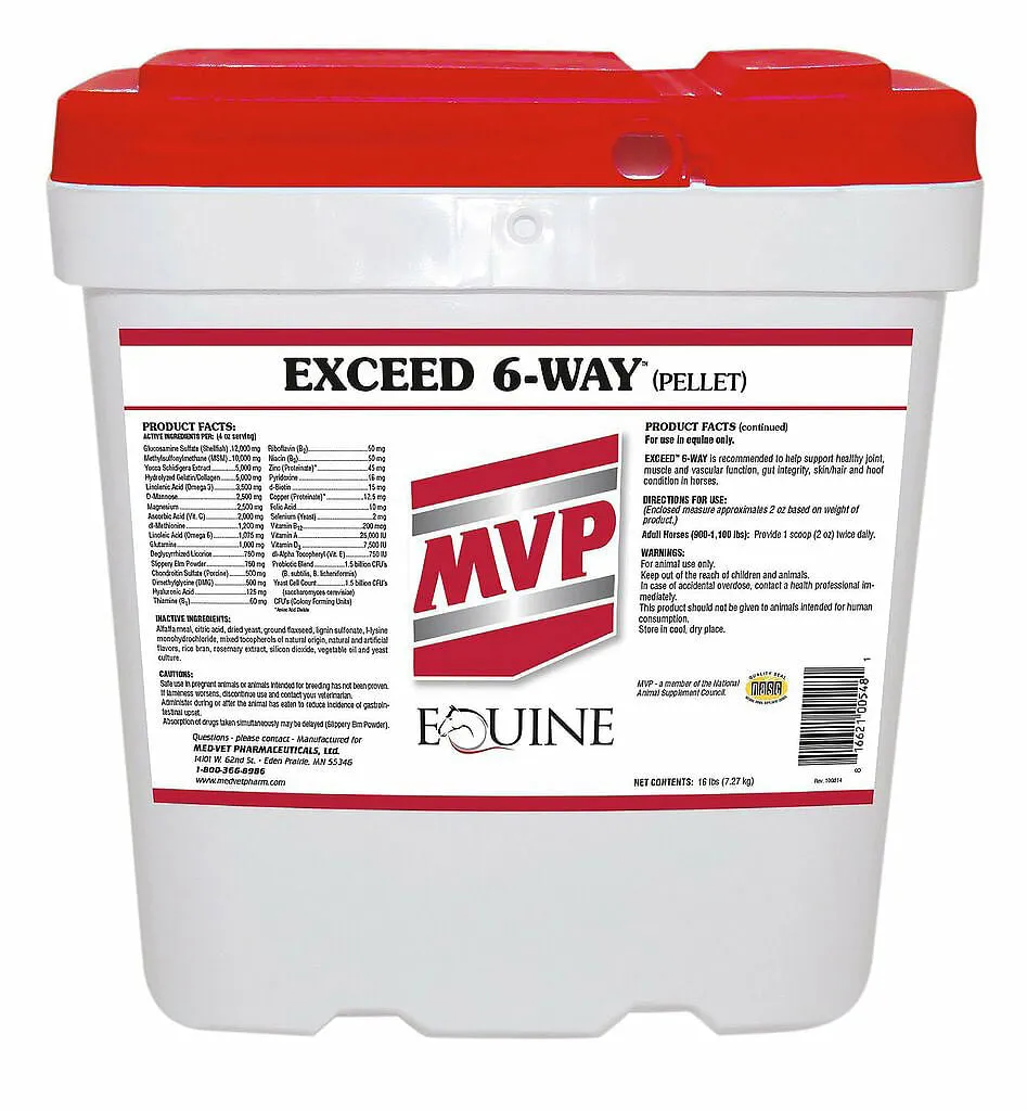 Med-Vet Exceed 6-Way