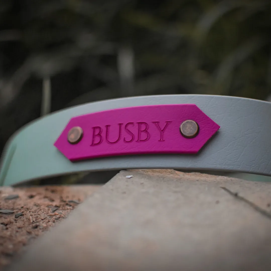 Personalised Name Dog Collar Upgrade