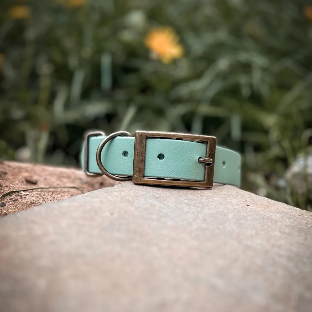 Sage Dog Collar