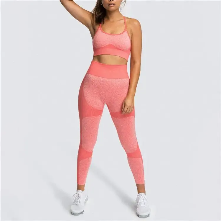 Seamless Sports Bra and High Waist Leggings Set for Women - Gym, Fitness, Running, Yoga (2 Piece Set)