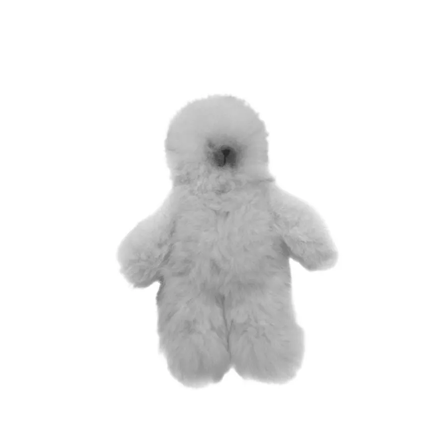 Teddy Bear Plush Toys